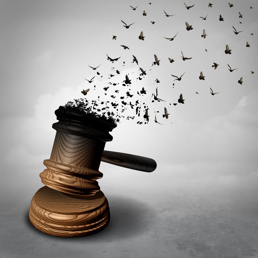 Symbol for a legal pardon as a judge gavel or mallet being transformed into free flying birds as a justice metaphor for clemency or injustice